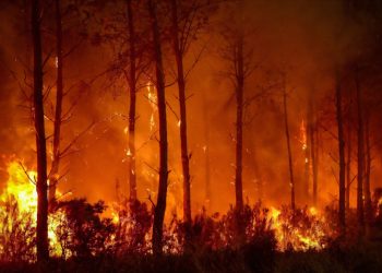 Jižní Evropa extrémně hoří. Klimatická změna násobí riziko požárů