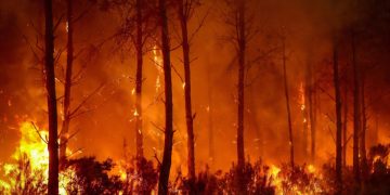 Jižní Evropa extrémně hoří. Klimatická změna násobí riziko požárů