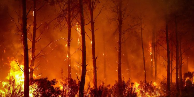 Jižní Evropa extrémně hoří. Klimatická změna násobí riziko požárů